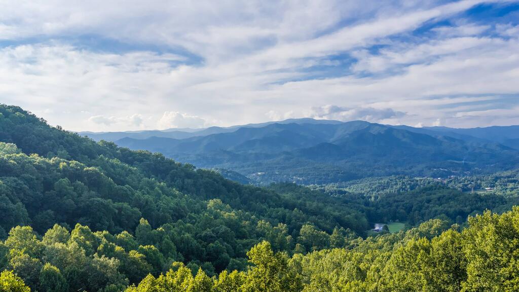 390 Overlook Road