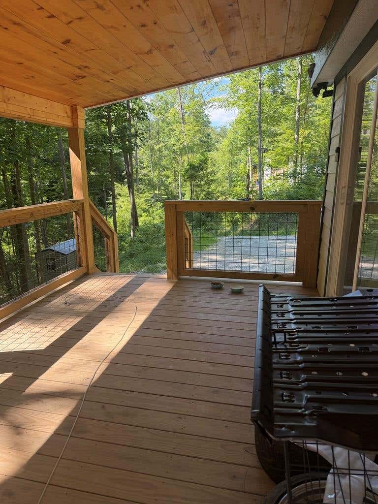 Photo of 90 Monkey Face Ln, Bryson City, NC 28713 (MLS # 26048108)