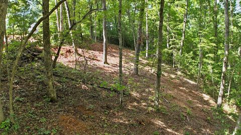 Photo of 00 Pine Ridge Dr, Franklin, NC 28734 (MLS # 26041967)