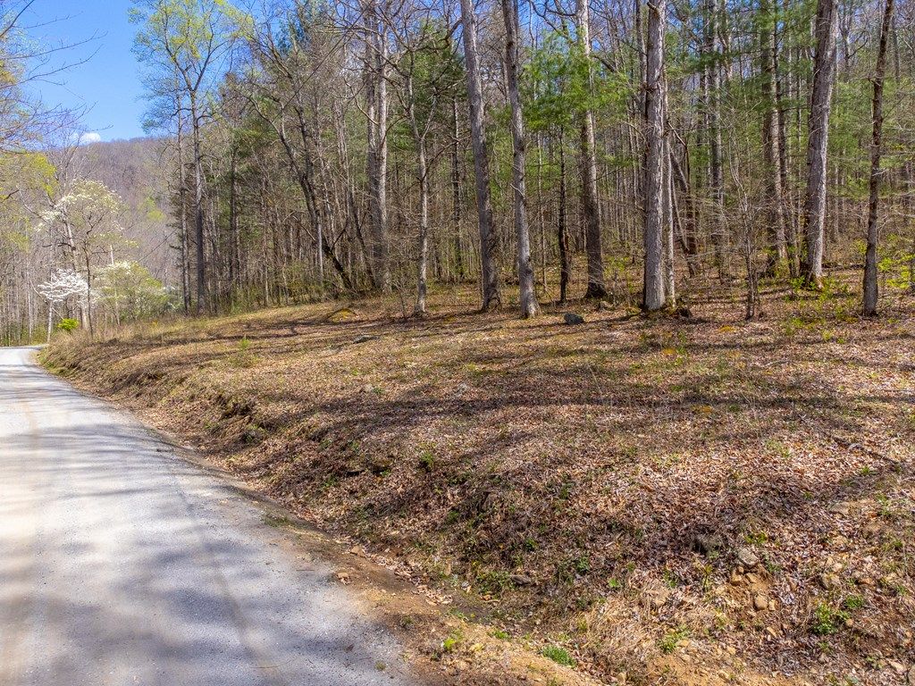 Photo of 306 Cedar Creek Farm Rd, Tuckasegee, NC 28783 (MLS # 26046944)