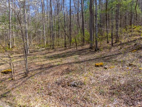 Photo of 306 Cedar Creek Farm Rd, Tuckasegee, NC 28783 (MLS # 26046944)
