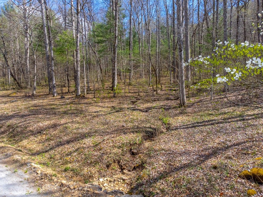 Photo of 306 Cedar Creek Farm Rd, Tuckasegee, NC 28783 (MLS # 26046944)