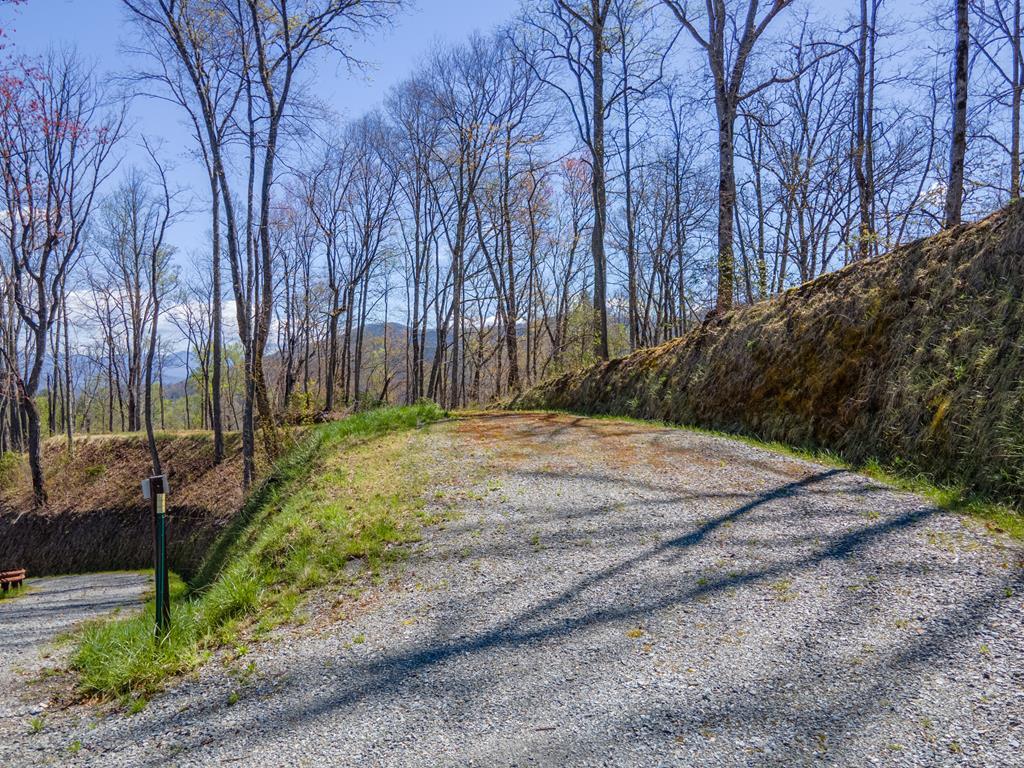 Lot 9 Bryson Gap Preserve