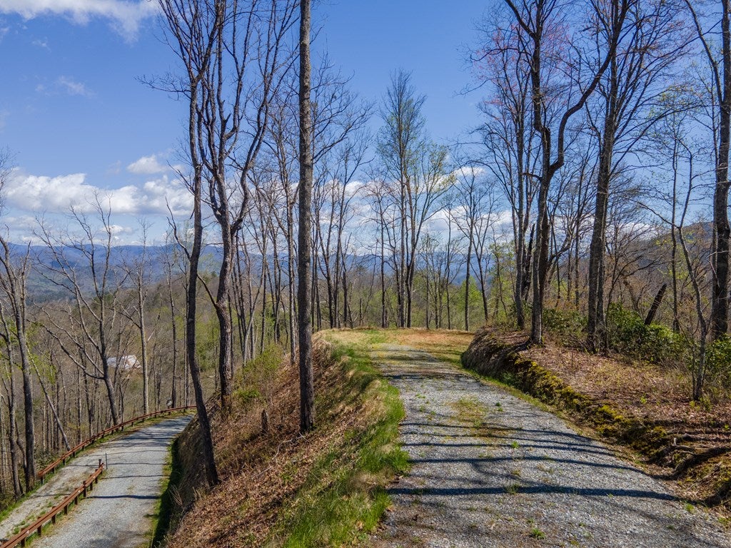 Lot 9 Bryson Gap Preserve