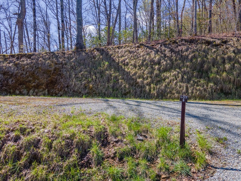 Lot 9 Bryson Gap Preserve