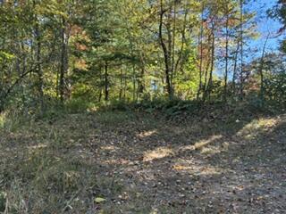 Photo of Lot 49 Elkhorn Ridge Dr, Franklin, NC 28734 (MLS # 26048745)