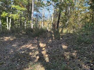 Lot 49 Elkhorn Ridge Dr.