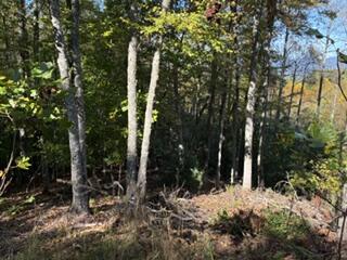 Lot 49 Elkhorn Ridge Dr.