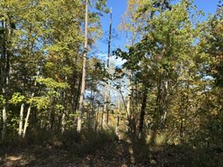 Lot 49 Elkhorn Ridge Dr.