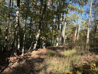 Lot 49 Elkhorn Ridge Dr.