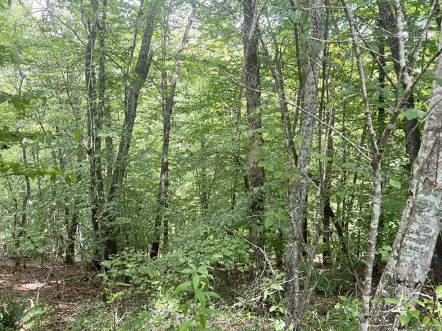 Lot 9 Fox Layre Rd