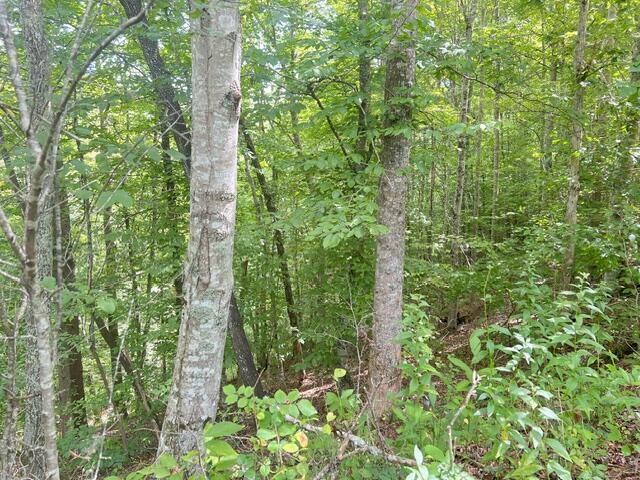 Lot 9 Fox Layre Rd