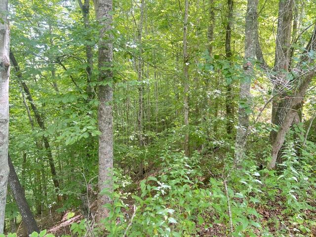 Lot 9 Fox Layre Rd