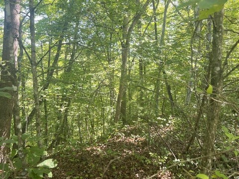 Photo of 00 Fox Layre Rd, Franklin, NC 28734 (MLS # 26048607)