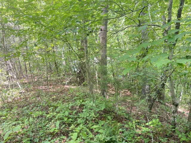 Lot 9 Fox Layre Rd