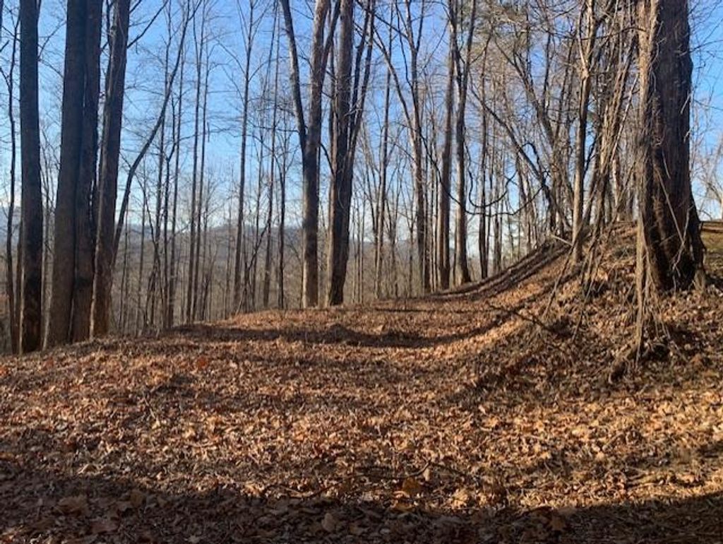 Photo of F1 Biltmore Circle, Bryson City, NC 28713 (MLS # 26047196)