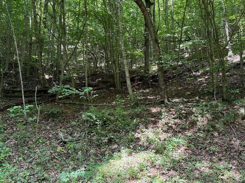 Photo of 0 Saldeer Mountain Rd, Franklin, NC 28734 (MLS # 26042397)