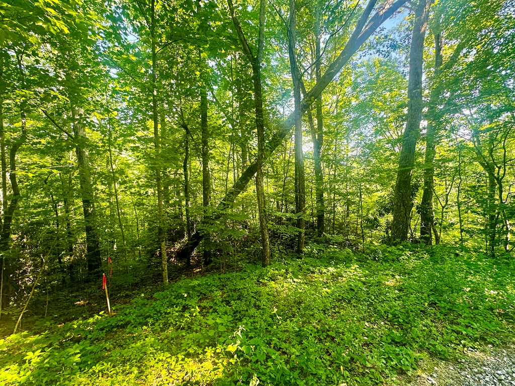 0 Upper Sawyers Creek Rd