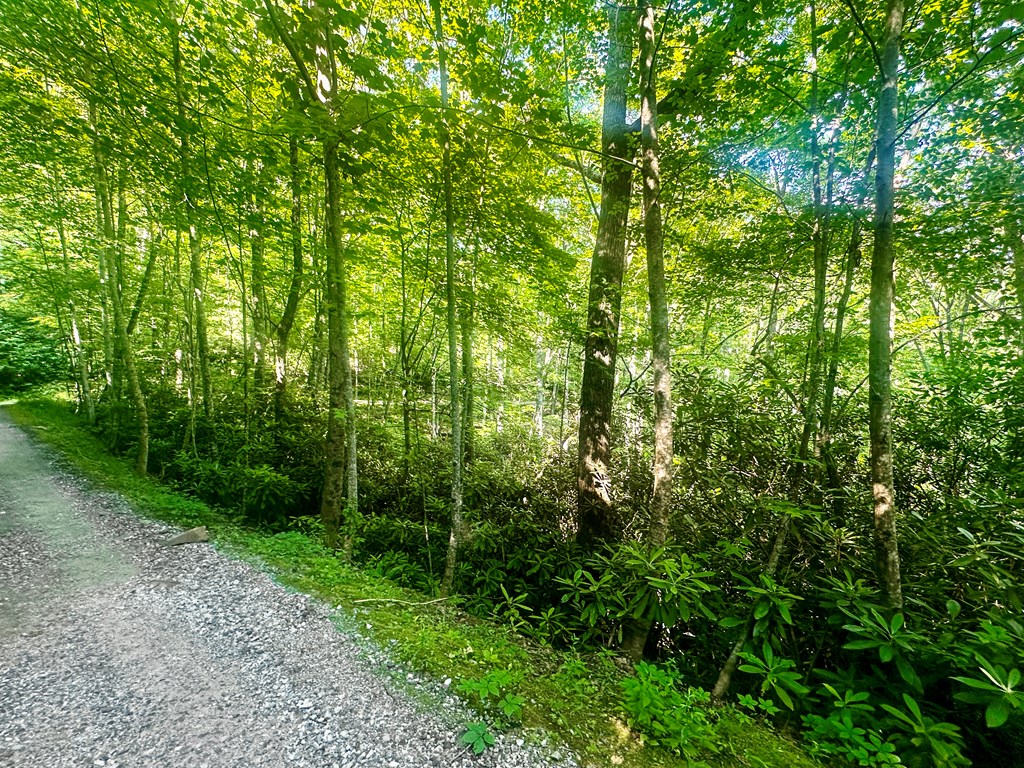 0 Upper Sawyers Creek Rd