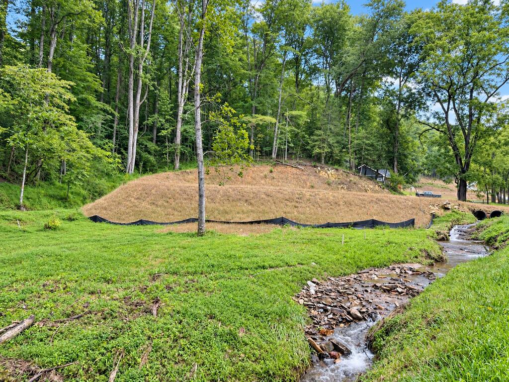 Photo of 471 Betts Branch, Bryson City, NC 28713 (MLS # 26048507)