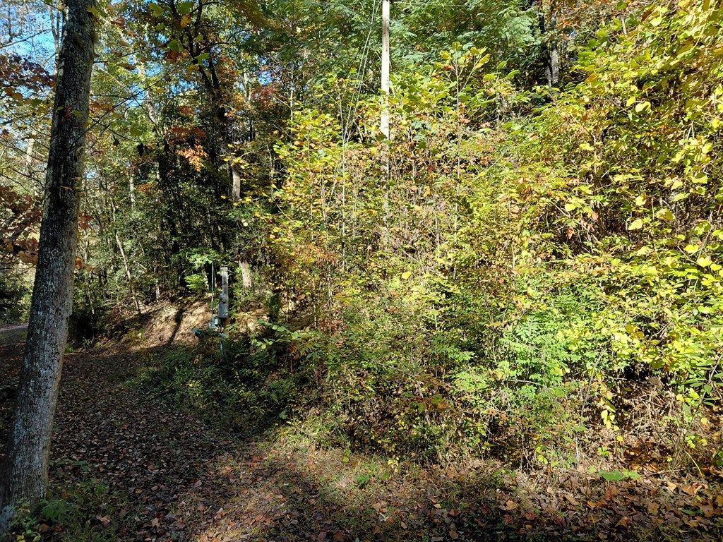 Photo of Lot E2 Foxfire Estates, Robbinsville (Graham), NC 28771 (MLS # 26042515)