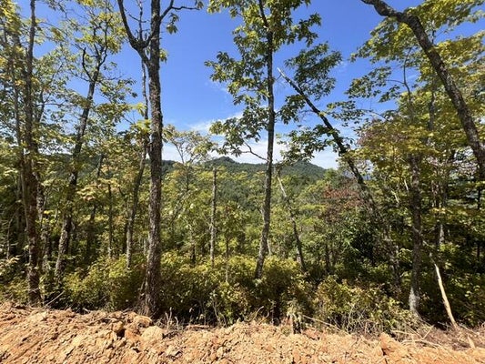 84 SHINERS RDG, ALMOND, NC 28702 - Image 6b663cfdbf03b1375cacc5ee3f267de2/1916246770