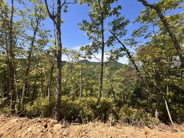 Photo of 00 Shiners Ridge, Bryson City, NC 28702 (MLS # 26048271)