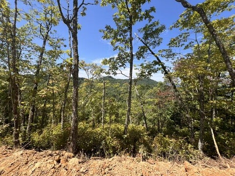 Photo of 00 Shiners Ridge, Bryson City, NC 28702 (MLS # 26048271)