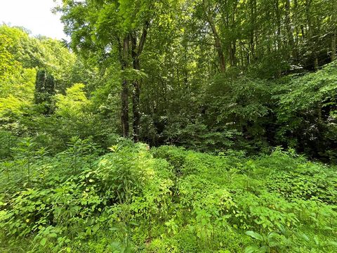 Photo of 00 Mincey Rd, Franklin, NC 28734 (MLS # 26047535)