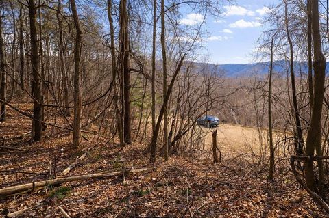 Photo of 125 Lasso Ln, Waynesville, NC 28785 (MLS # 26045349)
