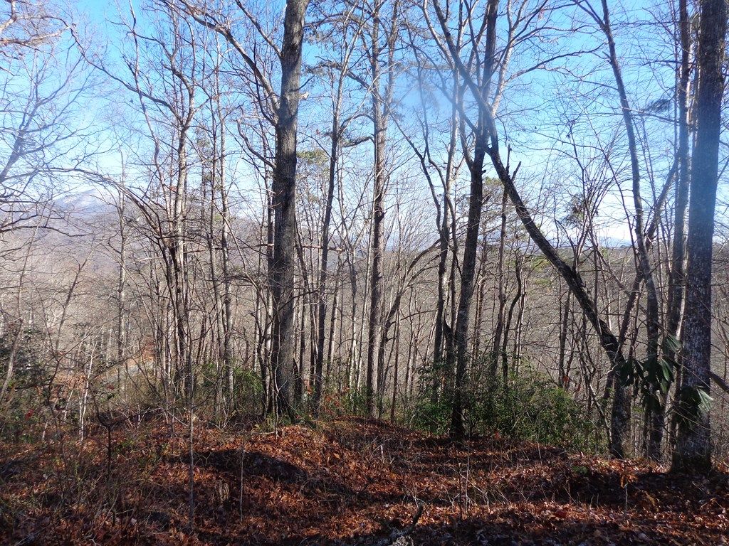 Photo of Lot 20 Vail Pass Rd, Whittier, NC 28789 (MLS # 26043140)