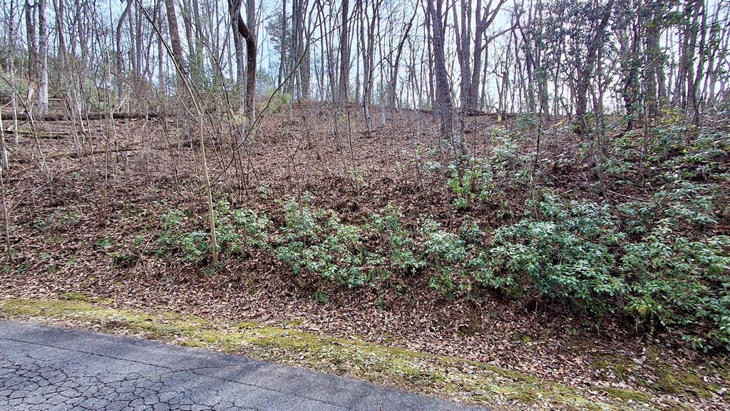 Lot 4 Hollywalk Trail