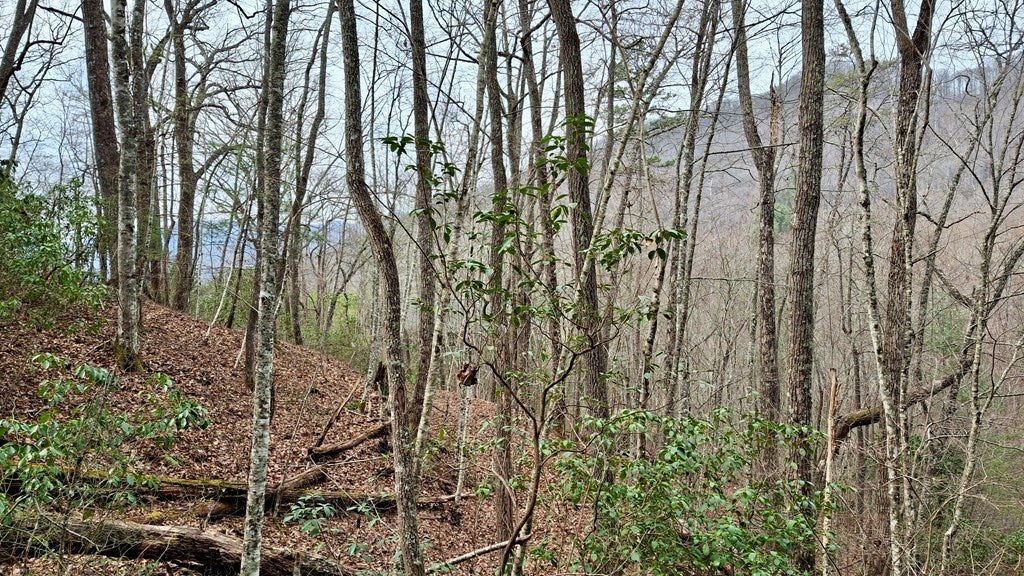 Lot 4 Hollywalk Trail