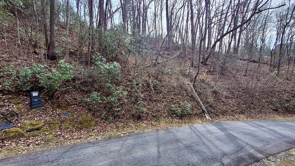 Lot 4 Hollywalk Trail