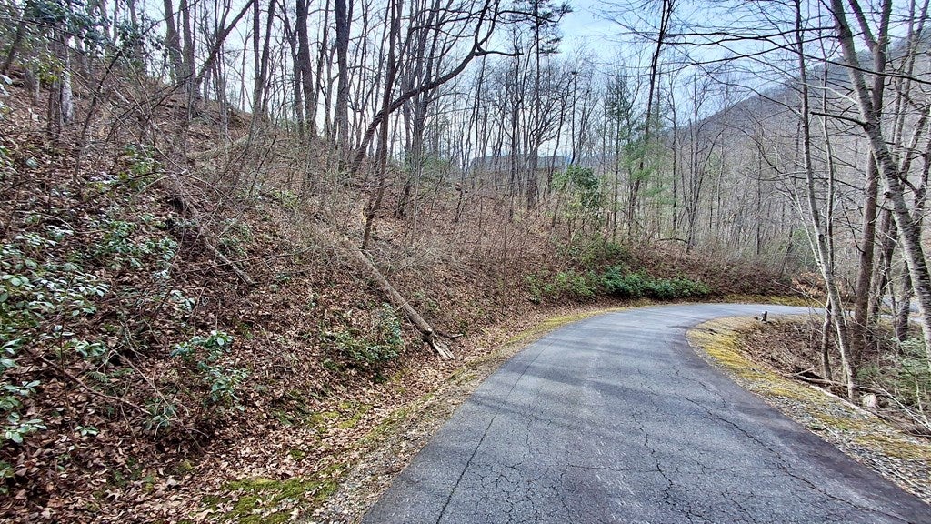 Lot 4 Hollywalk Trail