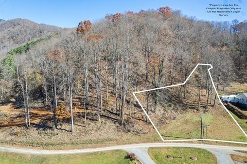 Photo of Tract 5: Lot 5 White Birch Drive, Sylva, NC 28779 (MLS # 26046971)