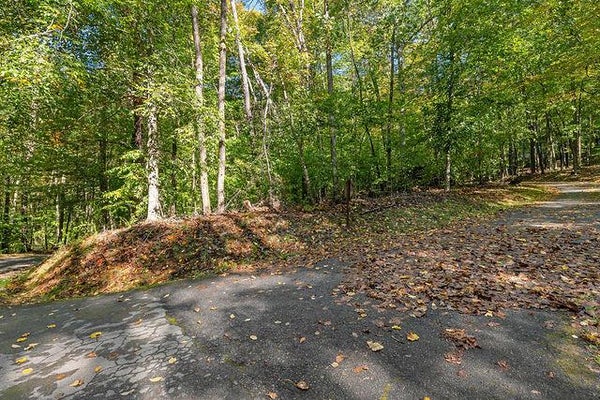00 DEER RUN, FRANKLIN, NC 28734 - Image 6cd1ae3cfd9d4f440d685c757e8bcf33/1249533618