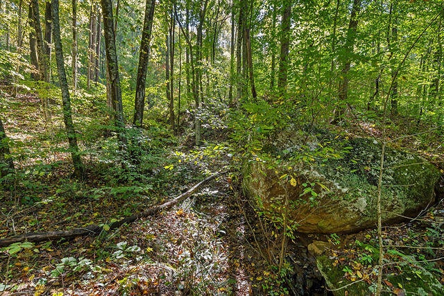 0 Deer Run