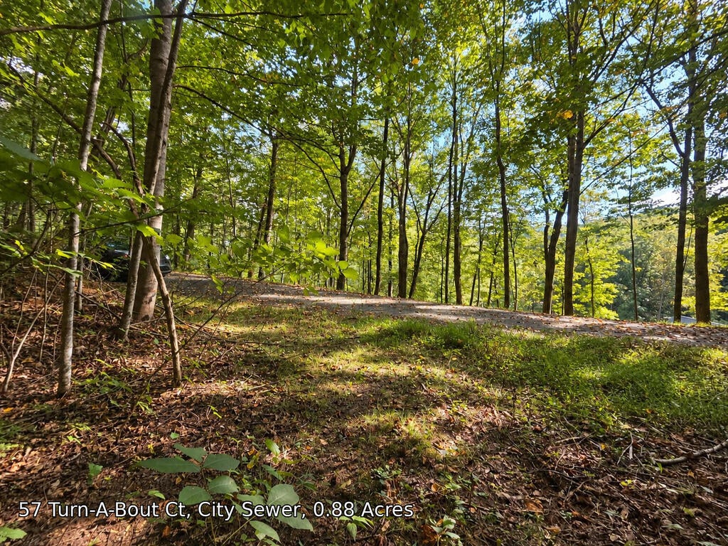 Photo of 250 Turn-A-Bout Ct, Waynesville, NC 28785 (MLS # 26048582)