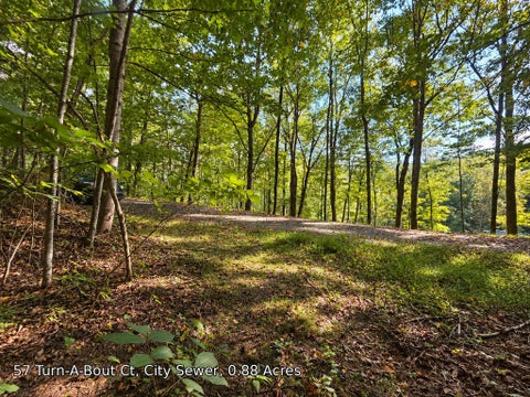 Photo of 250 Turn-A-Bout Ct, Waynesville, NC 28785 (MLS # 26048582)
