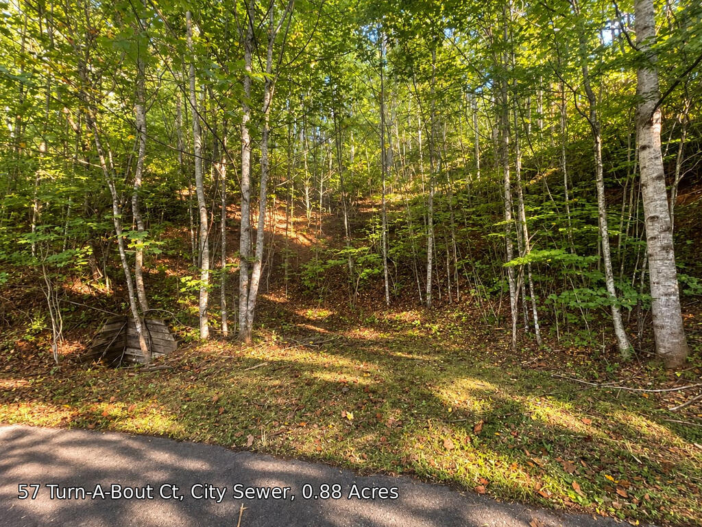 Photo of 250 Turn-A-Bout Ct, Waynesville, NC 28785 (MLS # 26048582)