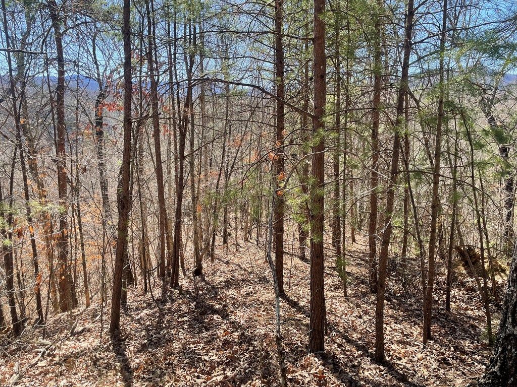 Photo of Lot 58-1 Fontana Lake Dr, Bryson City, NC 28713 (MLS # 26040118)