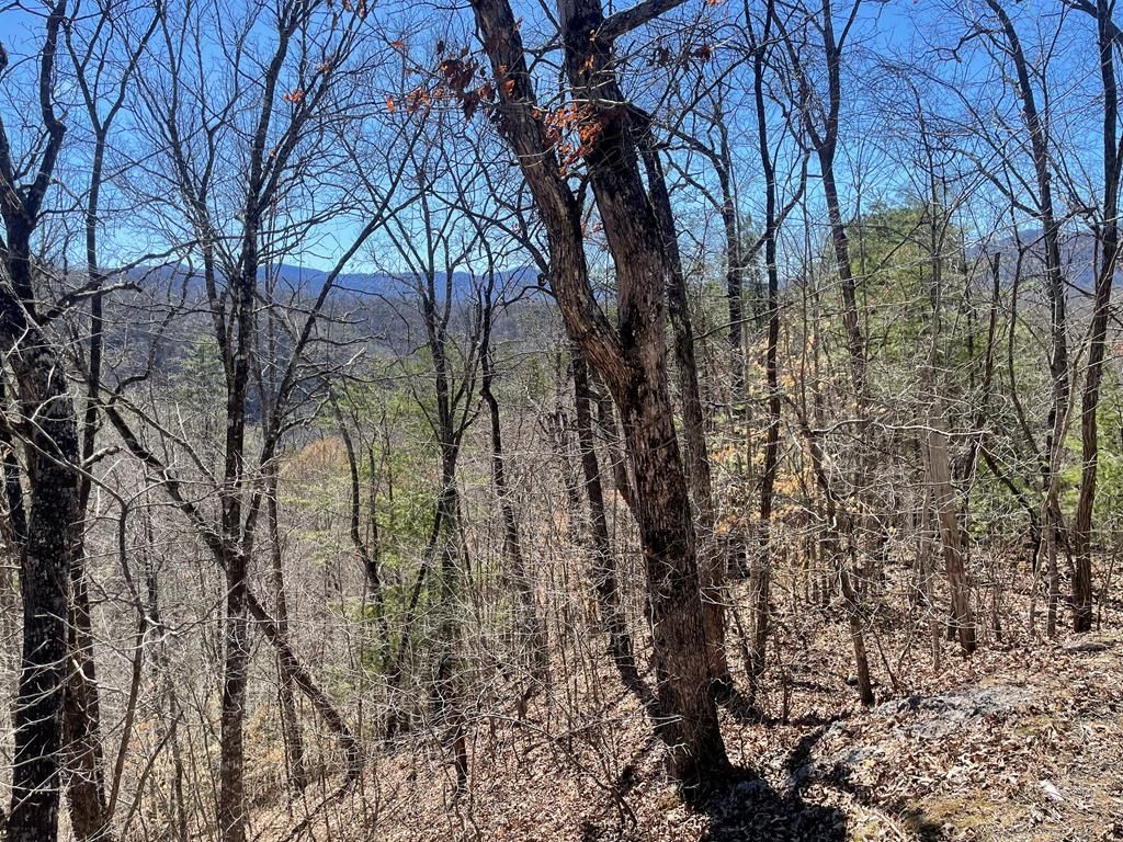 Photo of Lot 58-1 Fontana Lake Dr, Bryson City, NC 28713 (MLS # 26040118)