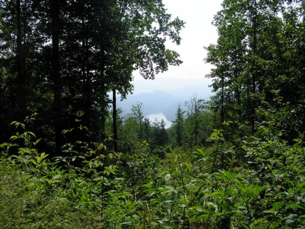 Photo of Lot 38 Fontana Trace Drive, Almond, NC 28702 (MLS # 25951856)