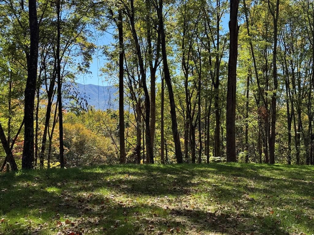 Photo of Lot 5 Miners Ridge, Bryson City, NC 28713 (MLS # 26042513)