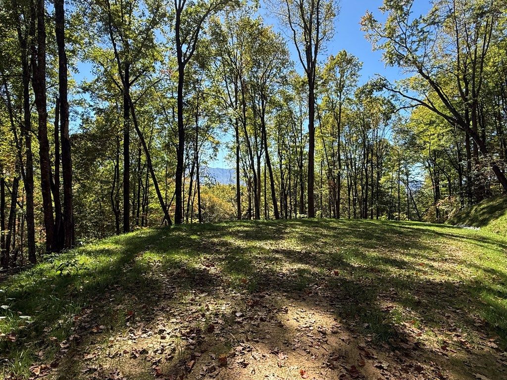 Photo of Lot 5 Miners Ridge, Bryson City, NC 28713 (MLS # 26042513)