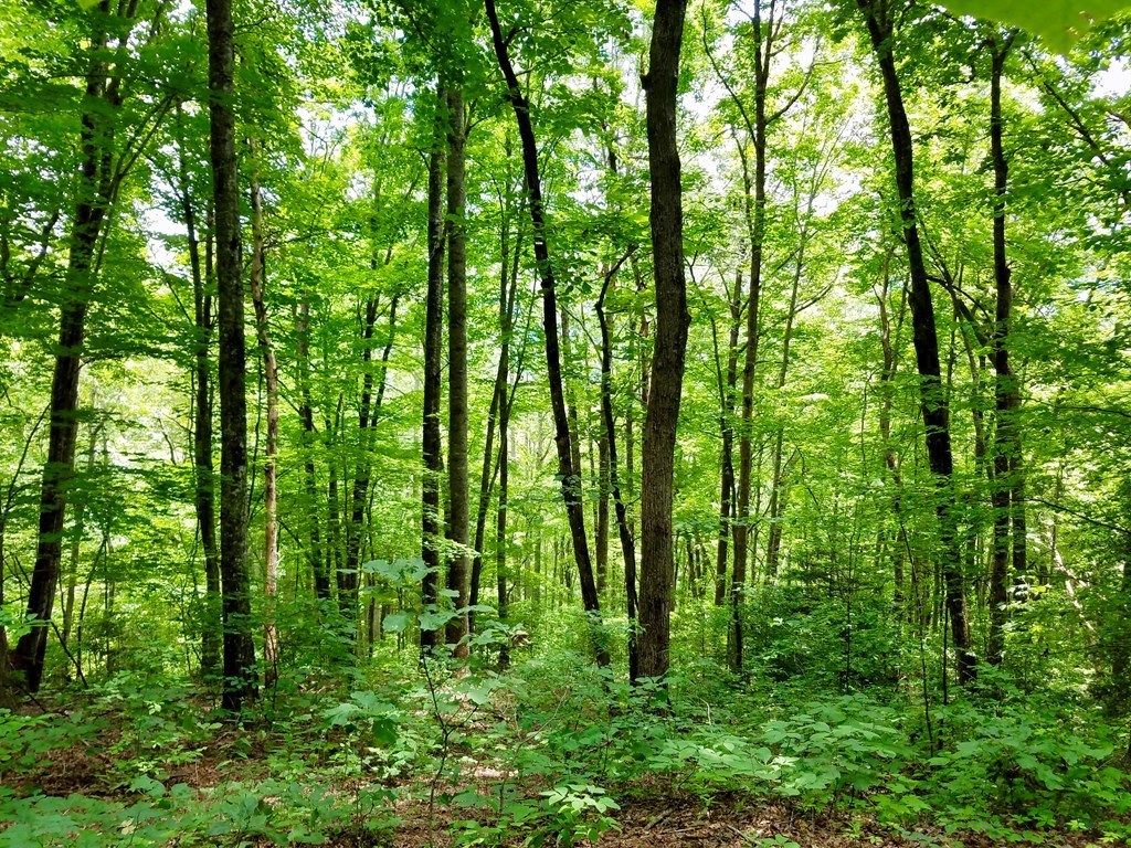 Photo of Lot 103 Mountain Vista, Bryson City, NC 28713 (MLS # 26037972)