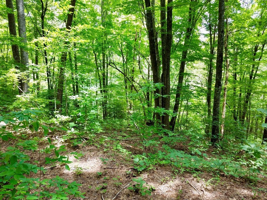 Lot 103 Mountain Vista