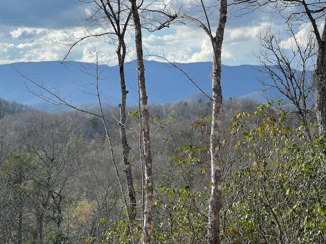 646 Fontana Ridge Road