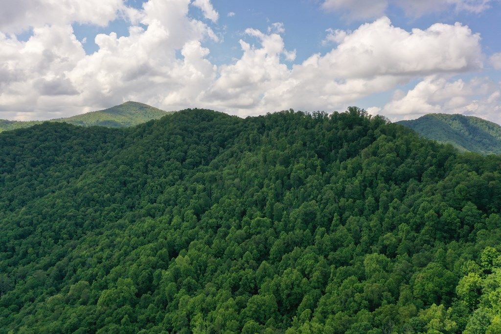 Photo of 0 East Fork Road, Sylva, NC 28779 (MLS # 26042199)